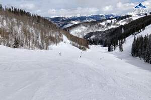 Stone Creek Meadows